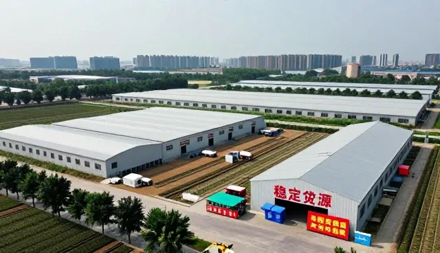 线上店铺运营提升项目现场使用效率